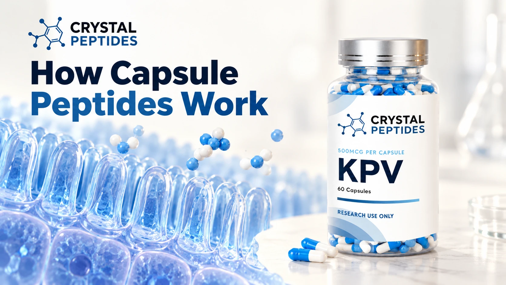 „Crystal Peptides“ KPV kapsulių buteliukas šalia konceptualios žarnyno paviršiaus iliustracijos.