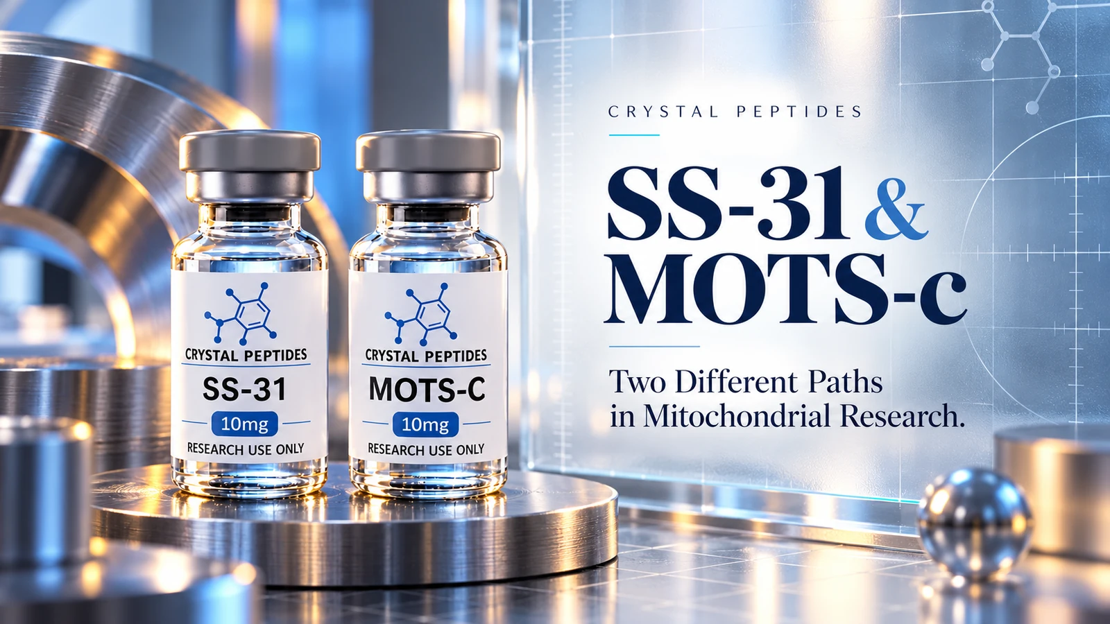 Redakcinė produkto iliustracija: SS-31 / MOTS-c — Crystal Peptides.